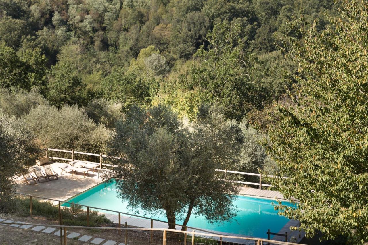 Alpaca Country House Pontedera Exterior foto